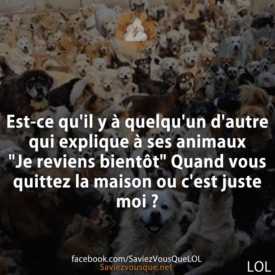 Est-ce qu&#039;il y à quelqu&#039;un d&#039;autre qui explique à ses animaux &quot;Je reviens bientôt&quot; Quand vous quittez la maison ou c&#039;est juste moi ?