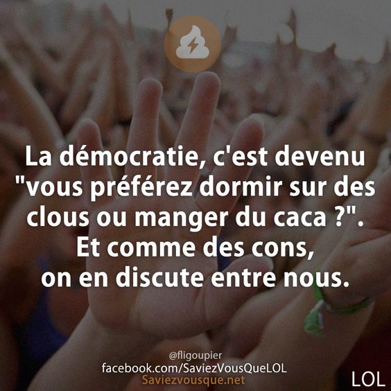 La démocratie, c&#039;est devenu &quot;vous préférez dormir sur des clous ou manger du caca ?&quot;. Et comme des cons, on en discute entre nous.