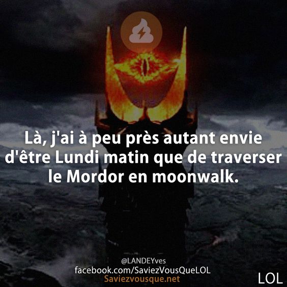Là, j'ai à peu près autant envie d'être Lundi matin que de traverser le Mordor en moonwalk.
