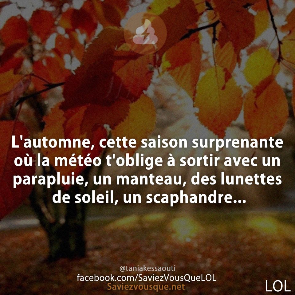 L&#039;automne, cette saison surprenante où la météo t&#039;oblige à sortir avec un parapluie, un manteau, des lunettes de soleil, un scaphandre...