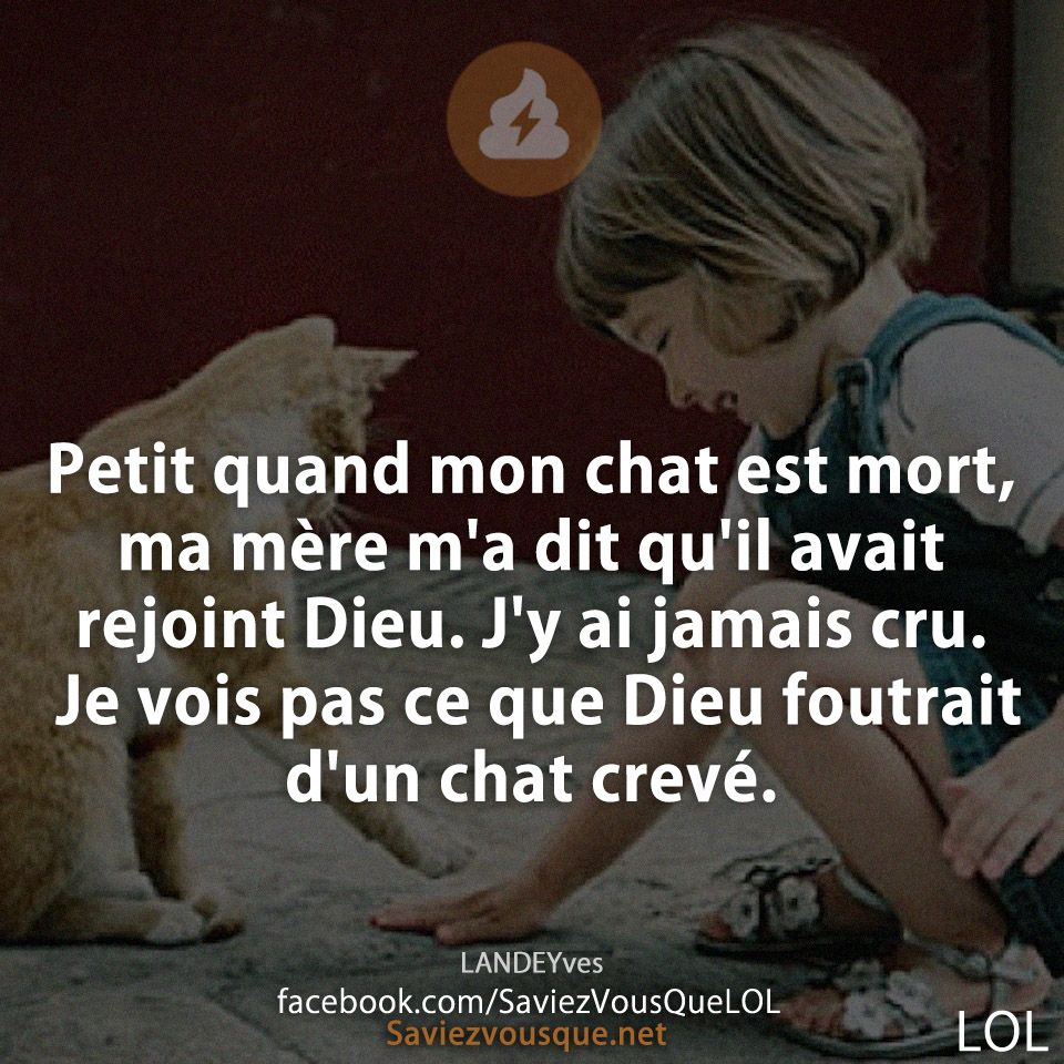 Petit quand mon chat est mort, ma mère m'a dit qu'il avait rejoint Dieu. J'y ai jamais cru. Je vois pas ce que Dieu foutrait d'un chat crevé.