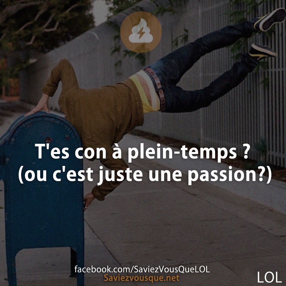 T'es con à plein-temps ? (ou c'est juste une passion?)