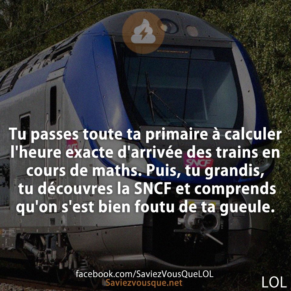 Tu passes toute ta primaire à calculer l'heure exacte d'arrivée des trains en cours de maths. Puis, tu grandis, tu découvres la SNCF et comprends qu'on s'est bien foutu de ta gueule.
