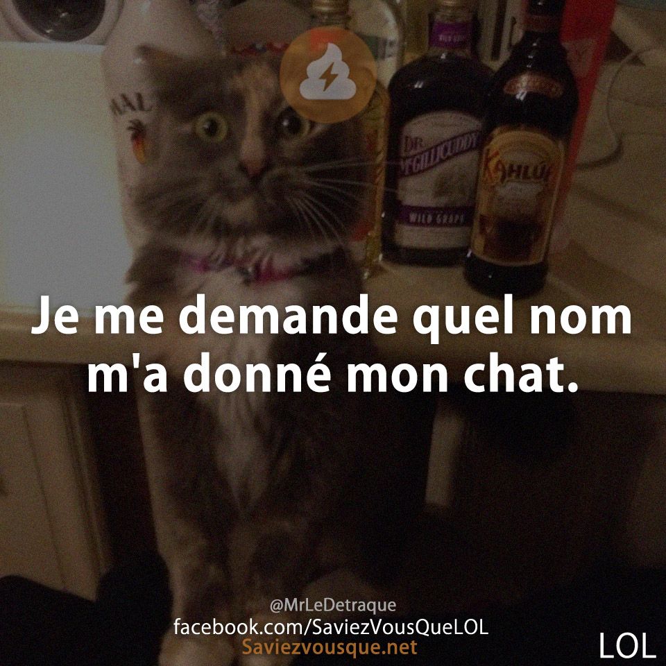 Je me demande quel nom m&#039;a donné mon chat.