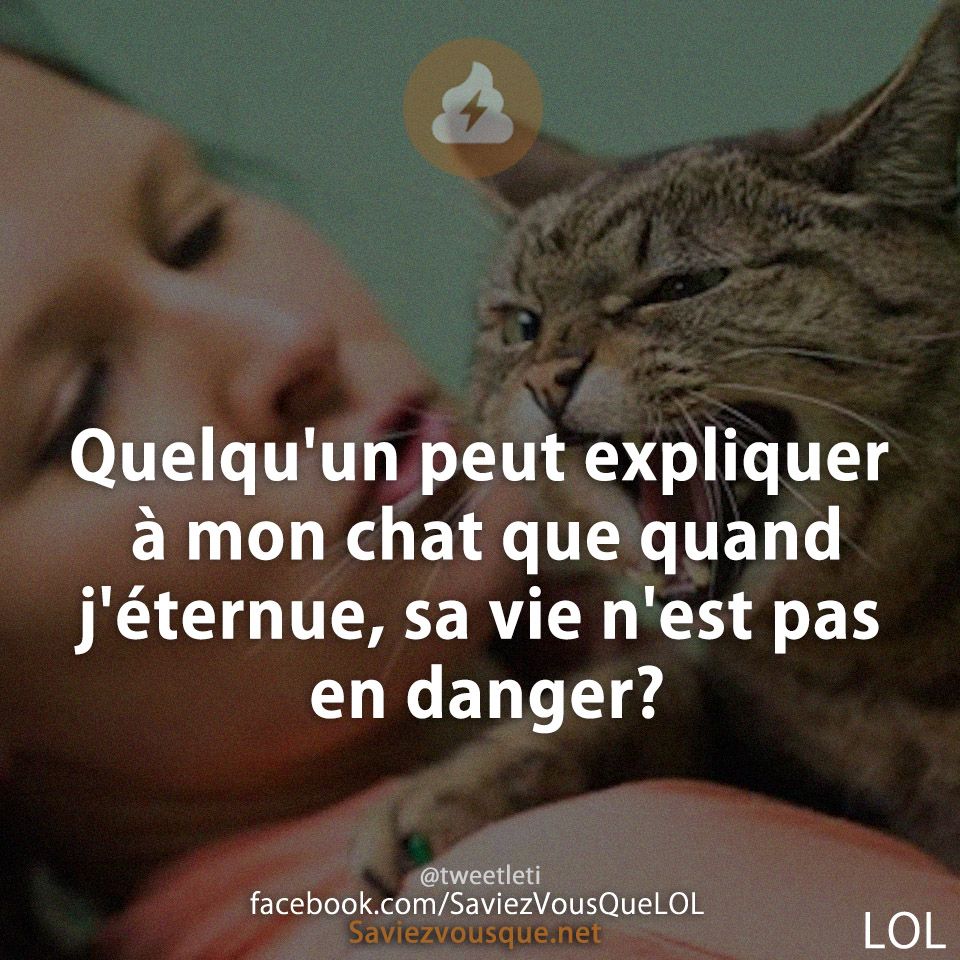 Quelqu&#039;un peut expliquer à mon chat que quand j&#039;éternue, sa vie n&#039;est pas en danger?