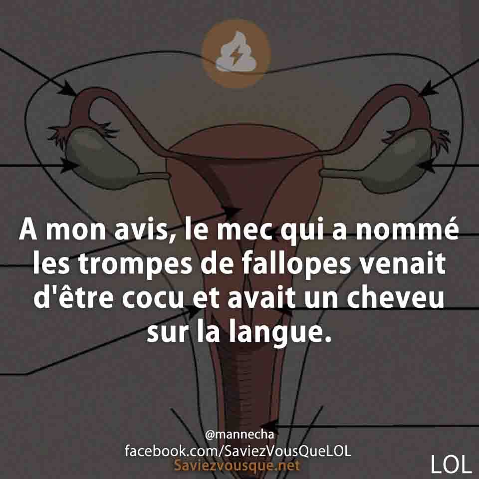 A mon avis, le mec qui a nommé les trompes de fallopes venait d&#039;être cocu et avait un cheveu sur la langue.