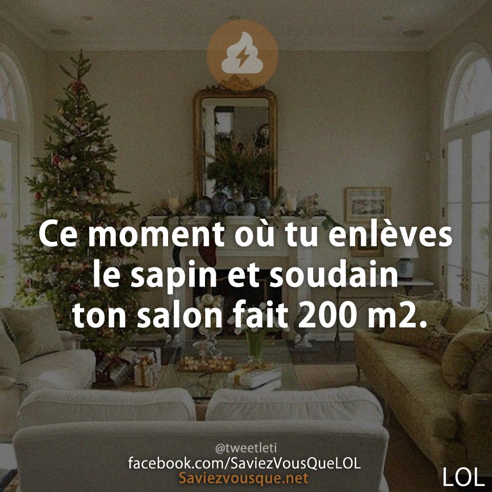 Ce moment où tu enlèves le sapin et soudain ton salon fait 200 m2.