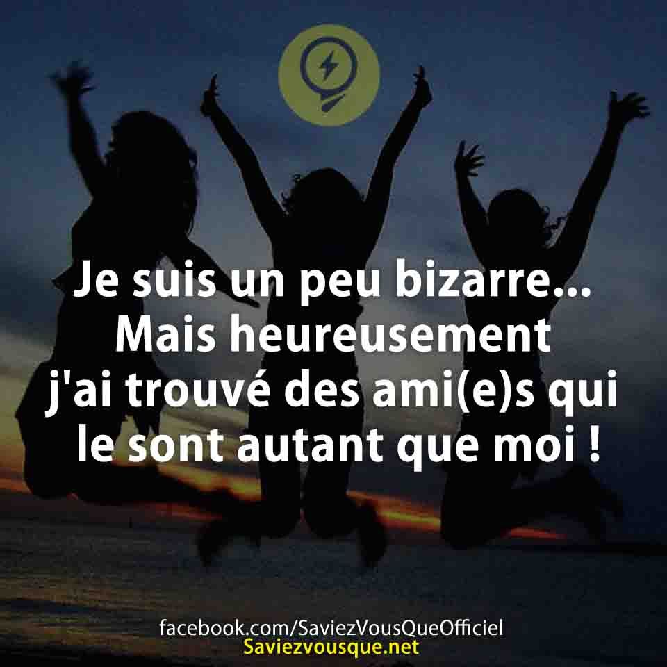 Je suis un peu bizarre... Mais heureusement j&#039;ai trouvé des ami(e)s qui le sont autant que moi !