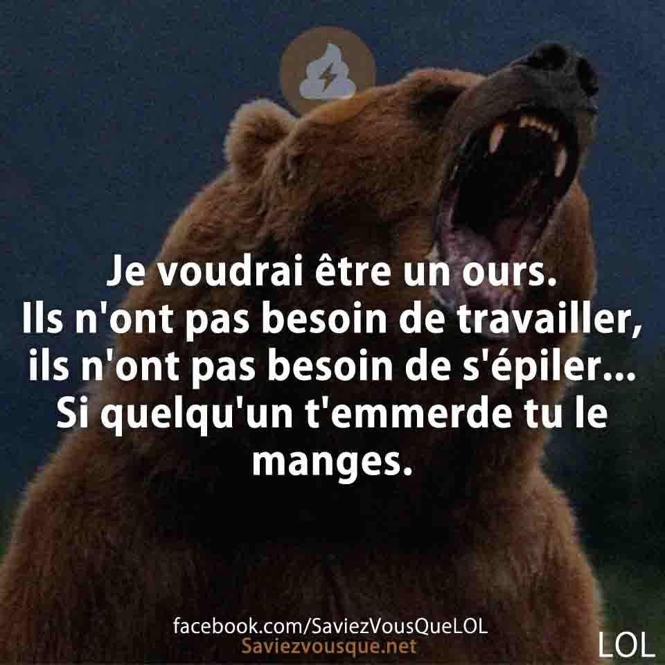 Je voudrai être un ours. Ils n&#039;ont pas besoin de travailler, ils n&#039;ont pas besoin de s&#039;épiler... Si quelqu&#039;un t&#039;emmerde tu le manges.