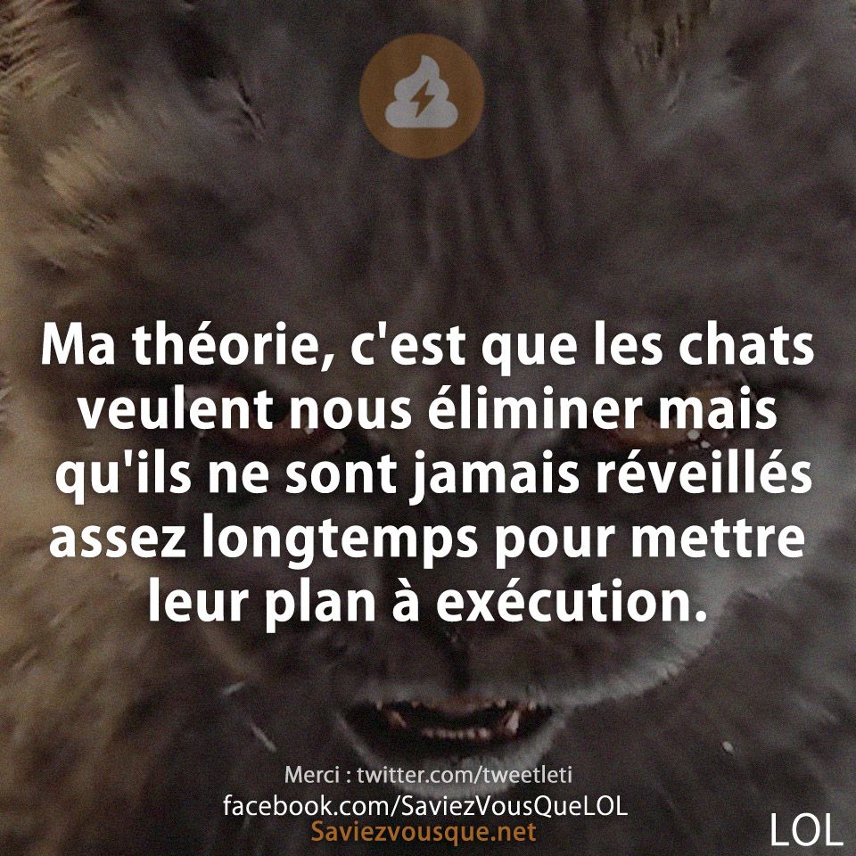 Ma théorie, c&#039;est que les chats veulent nous éliminer mais qu&#039;ils ne sont jamais réveillés assez longtemps pour mettre leur plan à exécution.