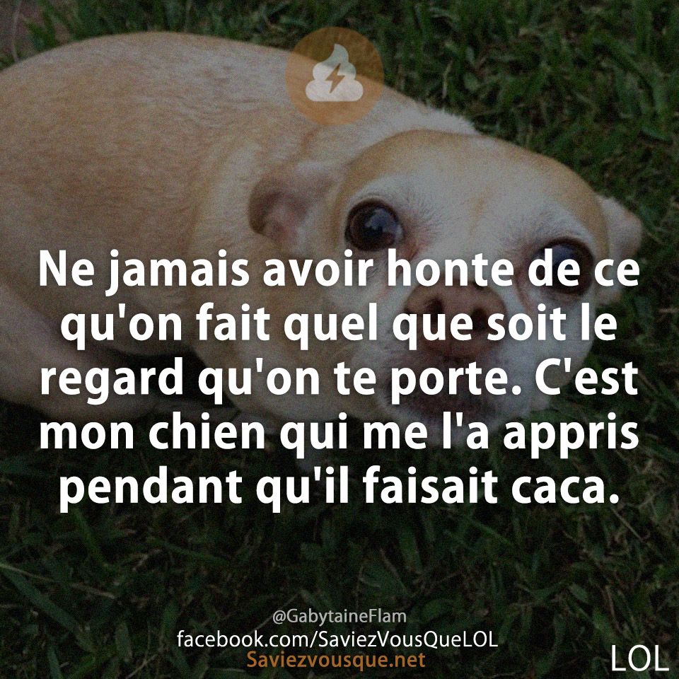 Ne jamais avoir honte de ce qu&#039;on fait quel que soit le regard qu&#039;on te porte. C&#039;est mon chien qui me l&#039;a appris pendant qu&#039;il faisait caca.