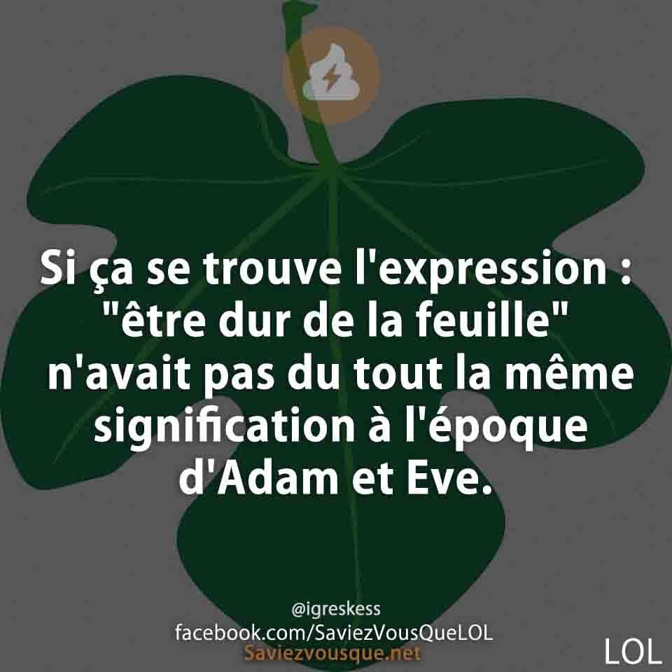 Si ça se trouve l&#039;expression : &quot;être dur de la feuille&quot; n&#039;avait pas du tout la même signification à l&#039;époque d&#039;Adam et Eve.