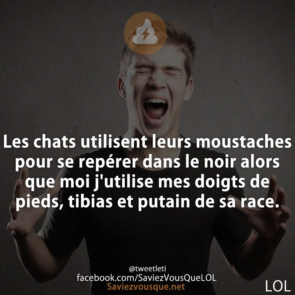 Les chats utilisent leurs moustaches pour se repérer dans le noir alors que moi j&#039;utilise mes doigts de pieds, tibias et putain de sa race.