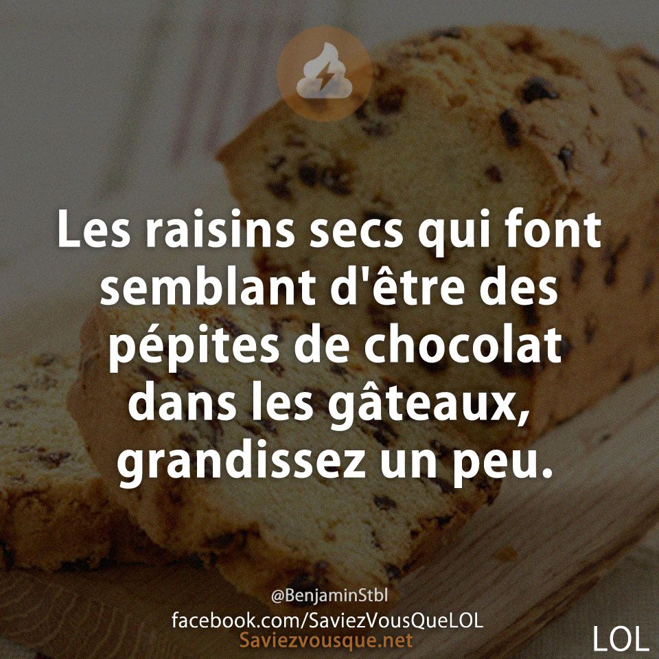 Les raisins secs qui font semblant d&#039;être des pépites de chocolat dans les gâteaux, grandissez un peu.