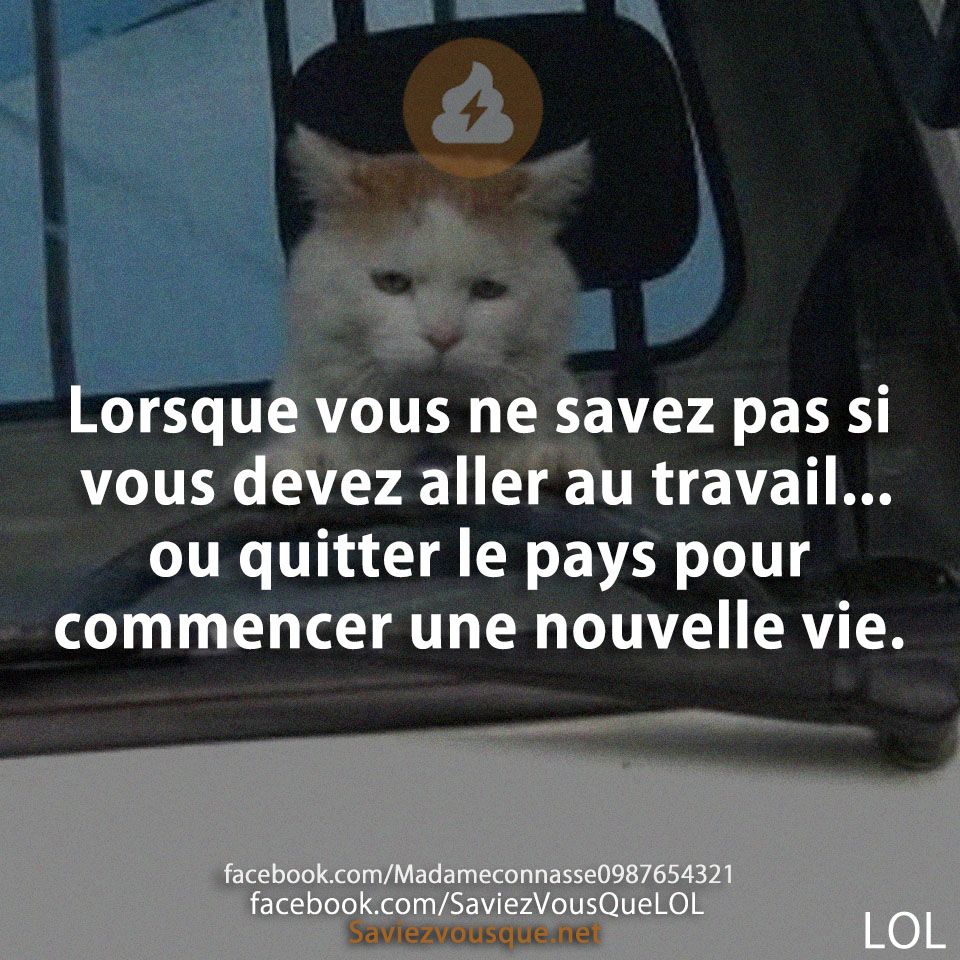 Lorsque vous ne savez pas si vous devez aller au travail... ou quitter le pays pour commencer une nouvelle vie.