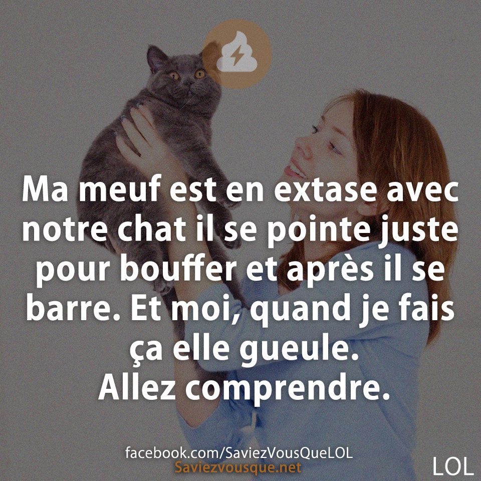 Ma meuf est en extase avec notre chat il se pointe juste pour bouffer et après il se barre. Et moi, quand je fais ça elle gueule. Allez comprendre.