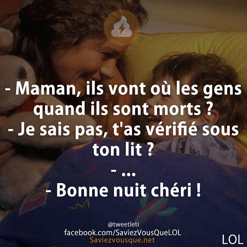 - Maman, ils vont où les gens quand ils sont morts ? - Je sais pas, t&#039;as vérifié sous ton lit ? - ... - Bonne nuit chéri !