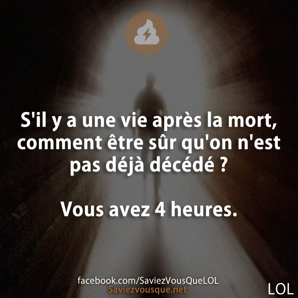 S&#039;il y a une vie après la mort, comment être sûr qu&#039;on n&#039;est pas déjà décédé ? Vous avez 4 heures.