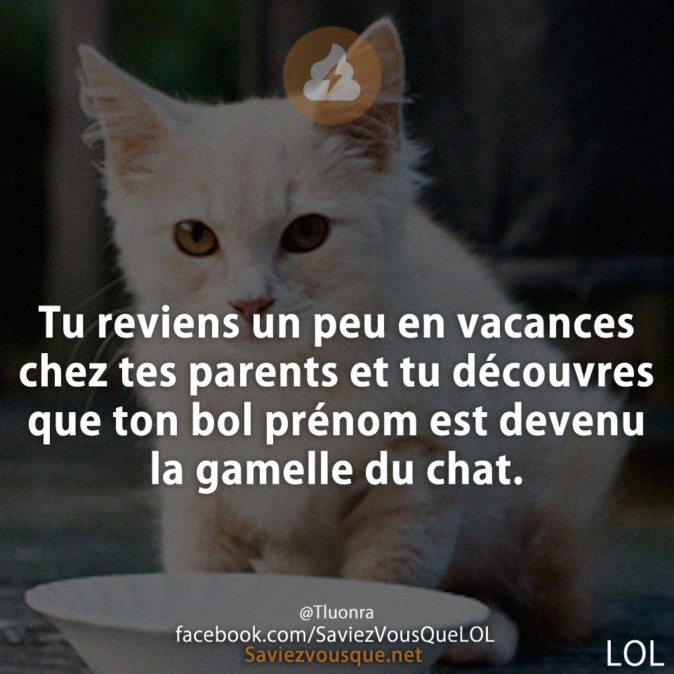 Tu reviens un peu en vacances chez tes parents et tu découvres que ton bol prénom est devenu la gamelle du chat.