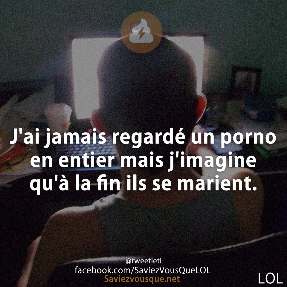 J&#039;ai jamais regardé un porno en entier mais j&#039;imagine qu&#039;à la fin ils se marient.