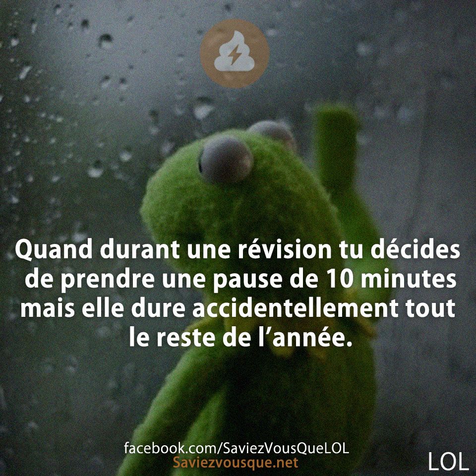 Quand durant une révision tu décides de prendre une pause de 10 minutes mais elle dure accidentellement tout le reste de l’année.