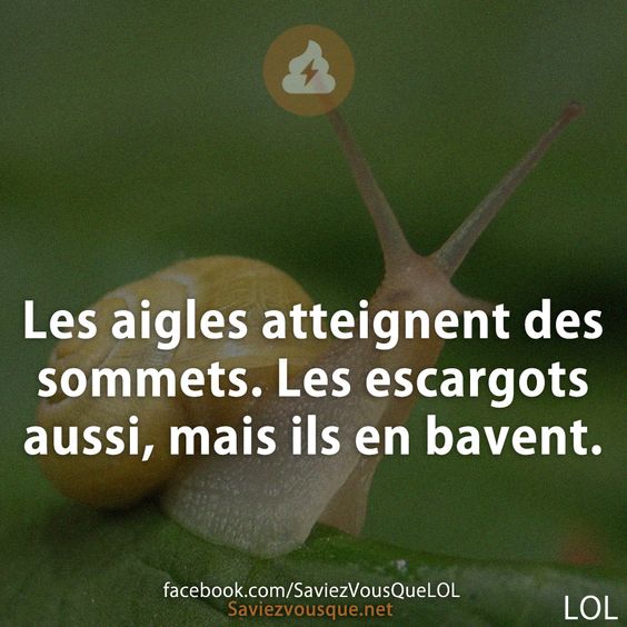 Les aigles atteignent des sommets. Les escargots aussi, mais ils en bavent.