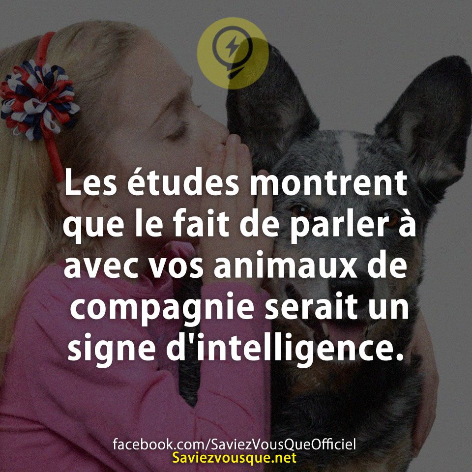 Les études montrent que le fait de parler à avec vos animaux de compagnie serait un signe d'intelligence.
