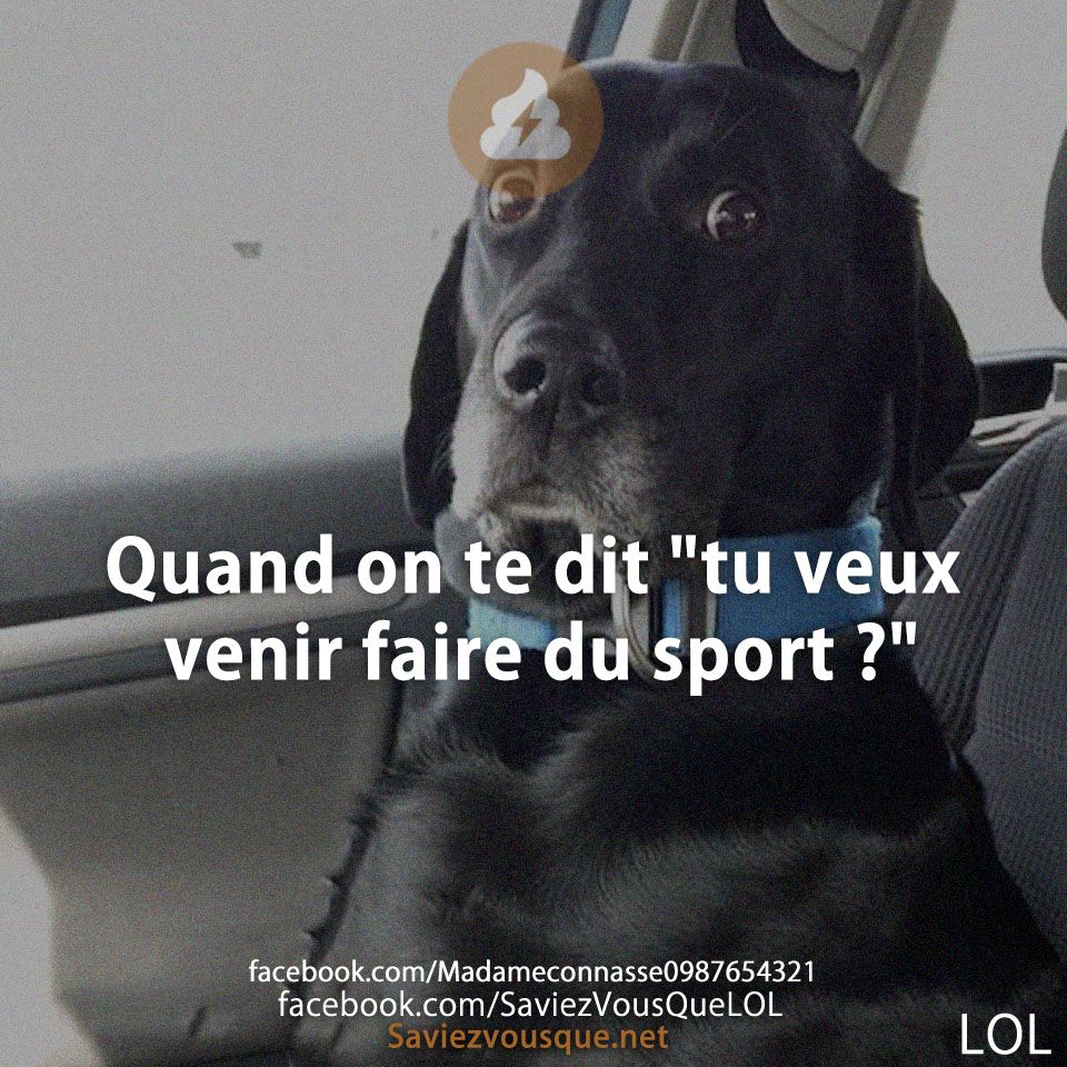 Quand on te dit &quot;tu veux venir faire du sport ?&quot;