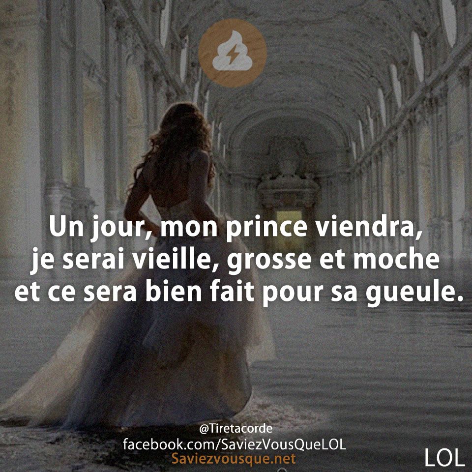 Un jour, mon prince viendra, je serai vieille, grosse et moche et ce sera bien fait pour sa gueule.