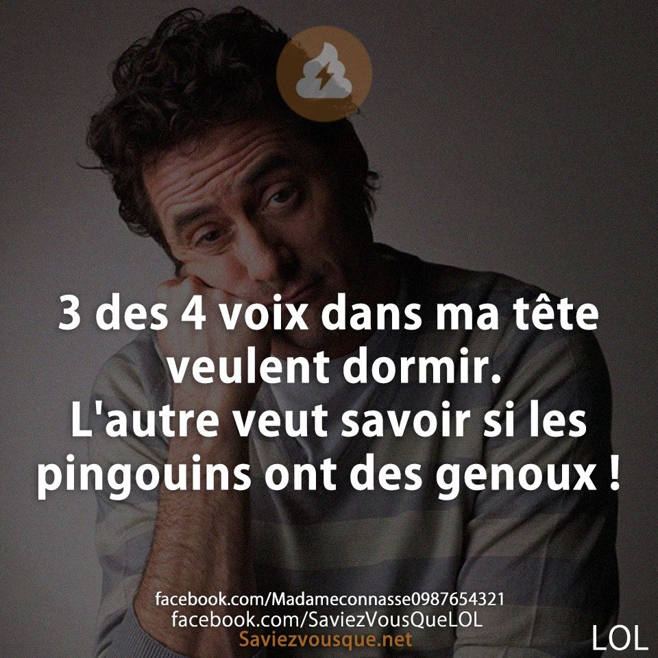 3 des 4 voix dans ma tête veulent dormir. L&#039;autre veut savoir si les pingouins ont des genoux !