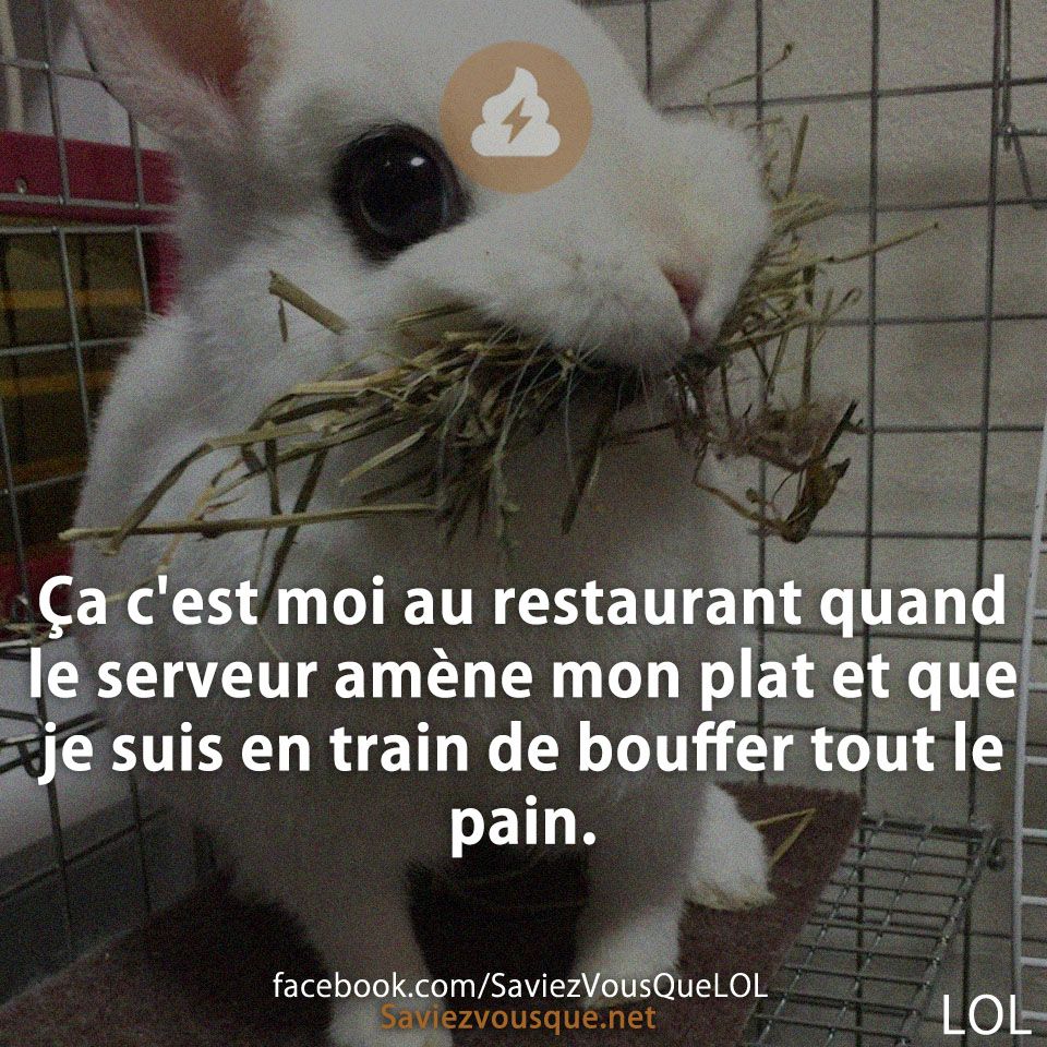 Ça c&#039;est moi au restaurant quand le serveur amène mon plat et que je suis en train de bouffer tout le pain.