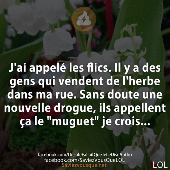 J&#039;ai appelé les flics. Il y a des gens qui vendent de l&#039;herbe dans ma rue. Sans doute une nouvelle drogue, ils appellent ça le &quot;muguet&quot; je crois...