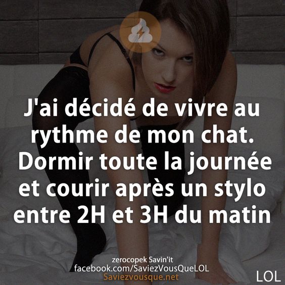 J&#039;ai décidé de vivre au rythme de mon chat. Dormir toute la journée et courir après un stylo entre 2H et 3H du matin