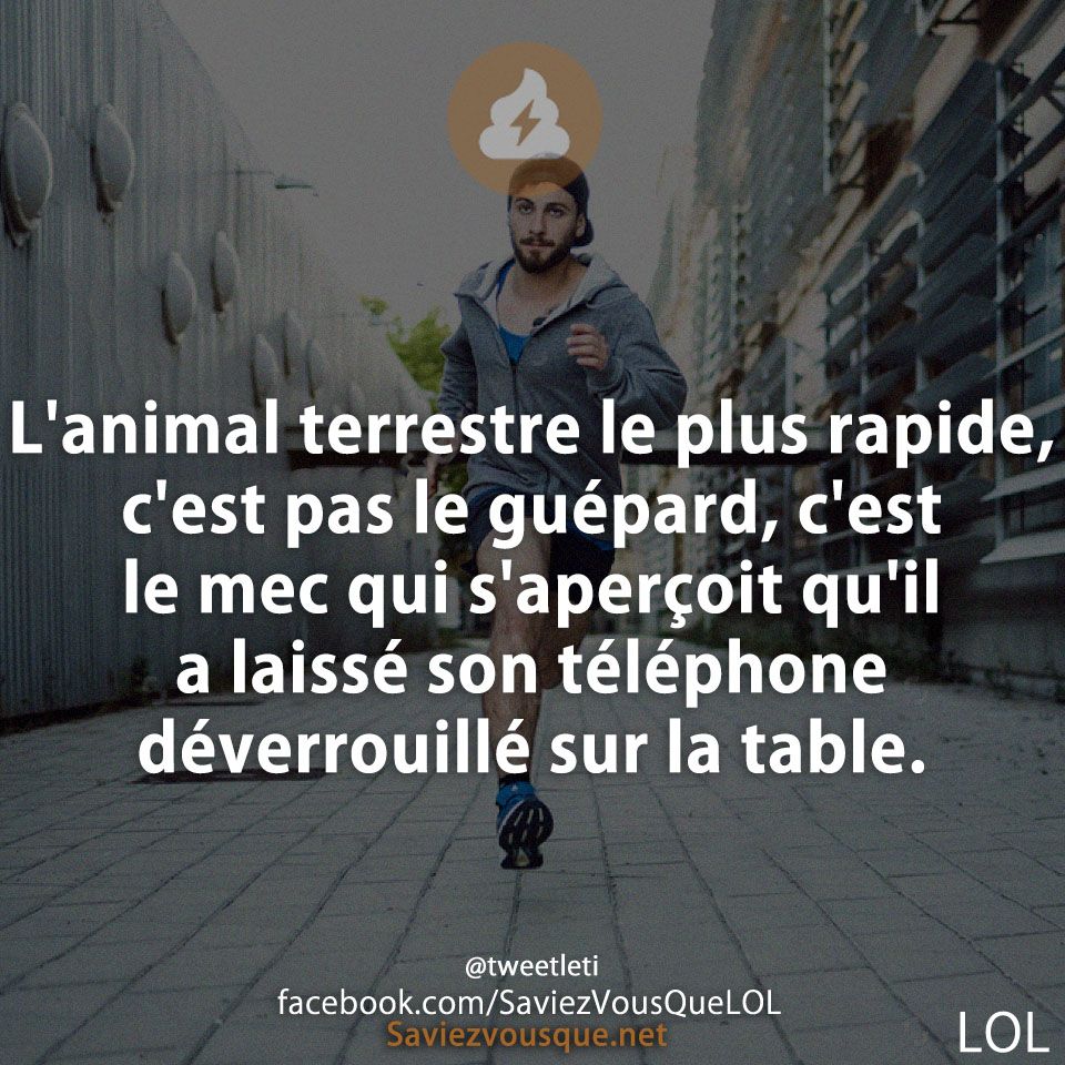 L&#039;animal terrestre le plus rapide, c&#039;est pas le guépard, c&#039;est le mec qui s&#039;aperçoit qu&#039;il a laissé son téléphone déverrouillé sur la table.
