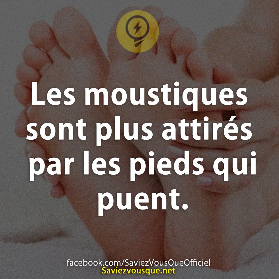 Les moustiques sont plus attirés par les pieds qui puent.