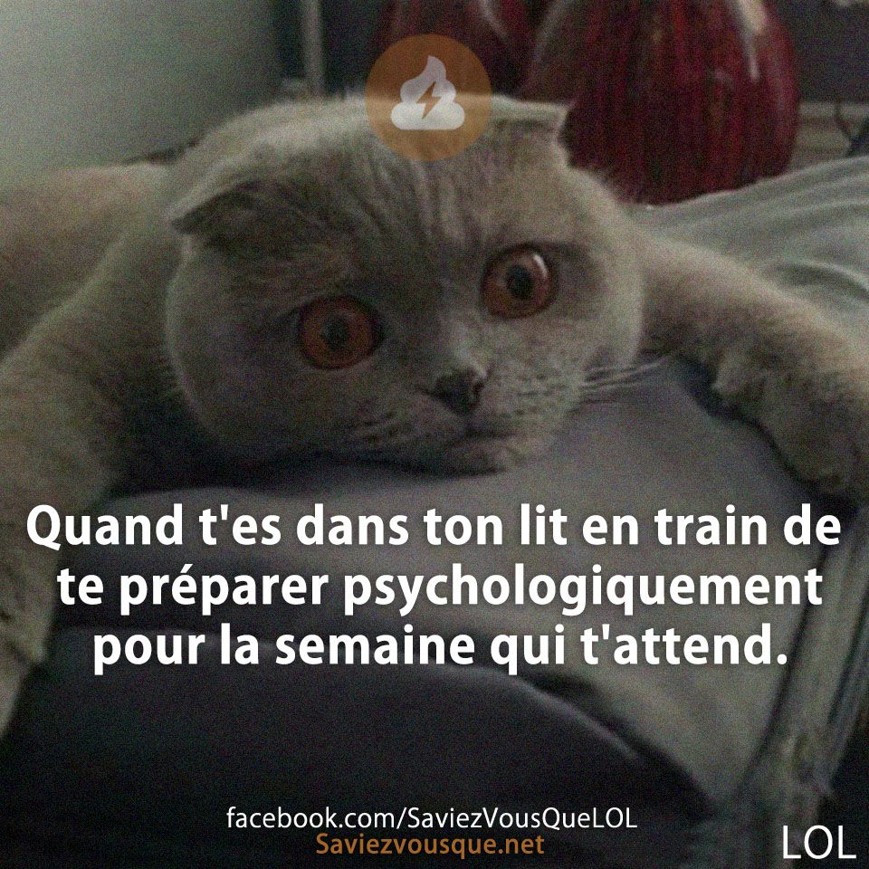 Quand t&#039;es dans ton lit en train de te préparer psychologiquement pour la semaine qui t&#039;attend.