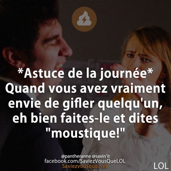 *Astuce de la journée* Quand vous avez vraiment envie de gifler quelqu&#039;un, eh bien faites-le et dites &quot;moustique!&quot;