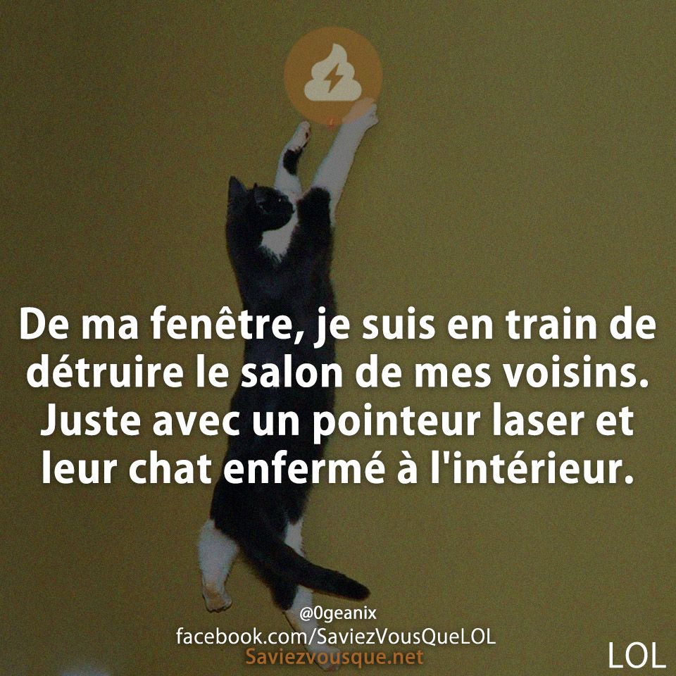 De ma fenêtre, je suis en train de détruire le salon de mes voisins. Juste avec un pointeur laser et leur chat enfermé à l&#039;intérieur.