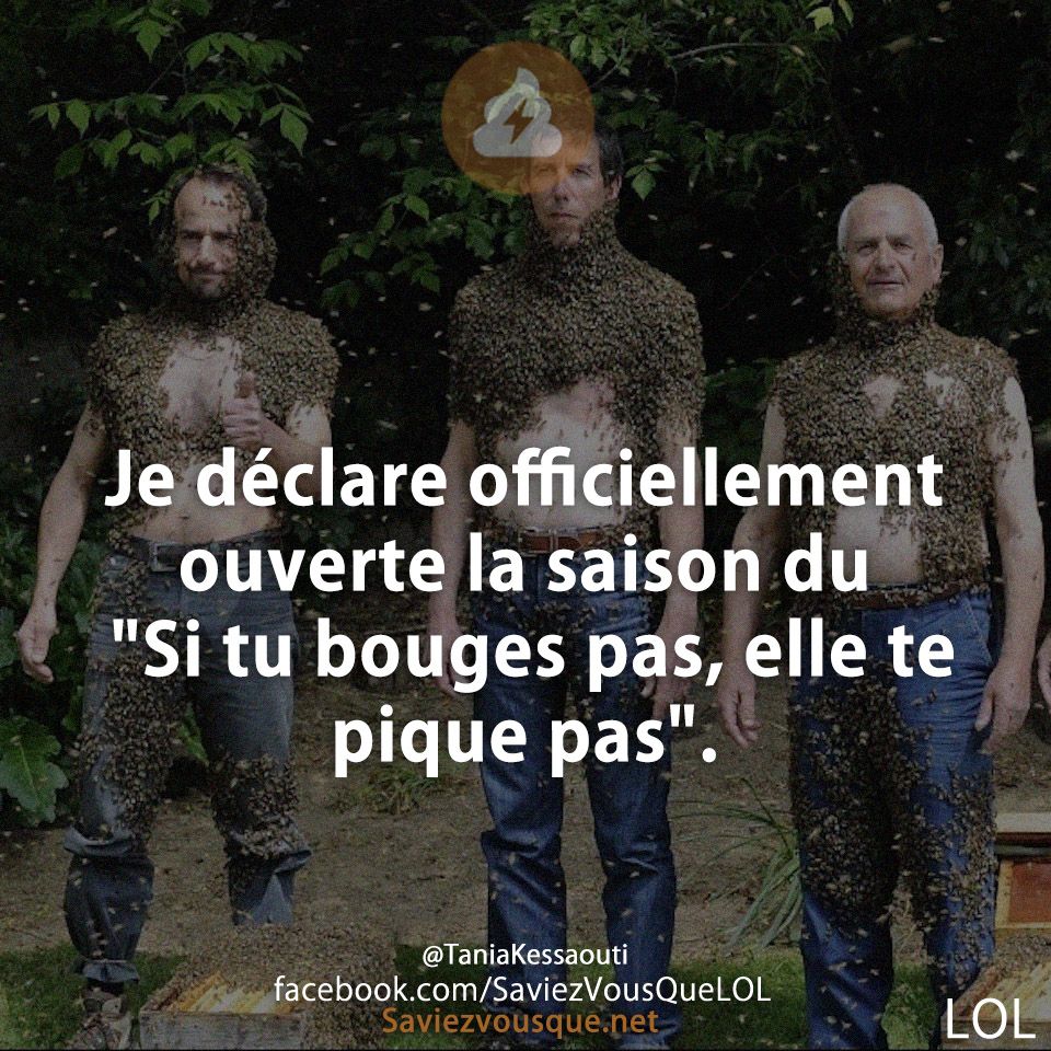 Je déclare officiellement ouverte la saison du &quot;Si tu bouges pas, elle te pique pas&quot;.