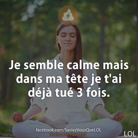 Je semble calme mais dans ma tête je t&#039;ai déjà tué 3 fois.