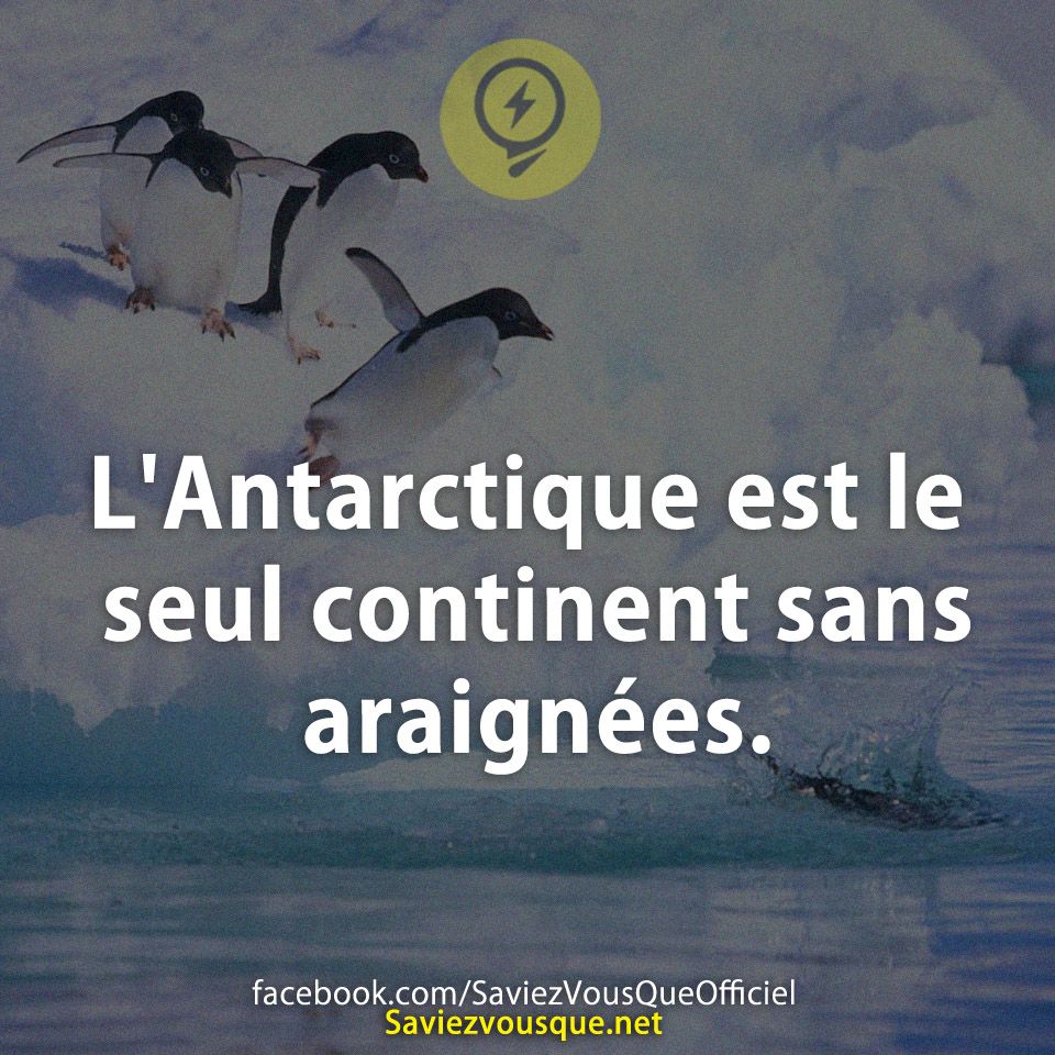 L'Antarctique est le seul continent sans araignées.