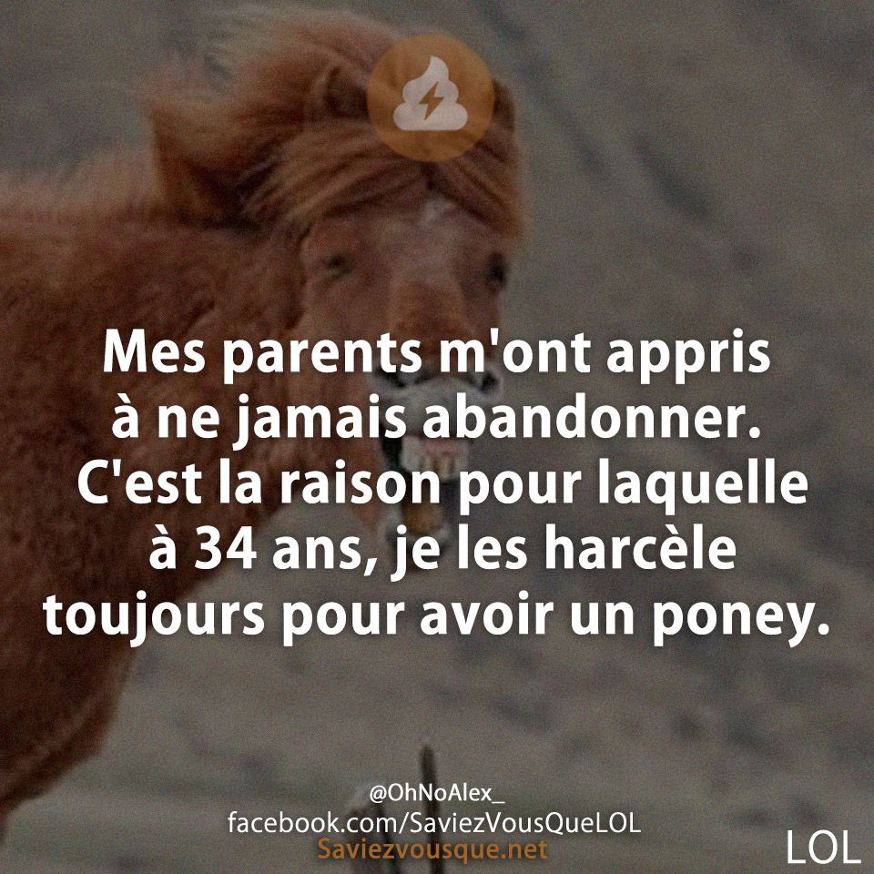 Mes parents m&#039;ont appris à ne jamais abandonner. C&#039;est la raison pour laquelle à 34 ans, je les harcèle toujours pour avoir un poney.