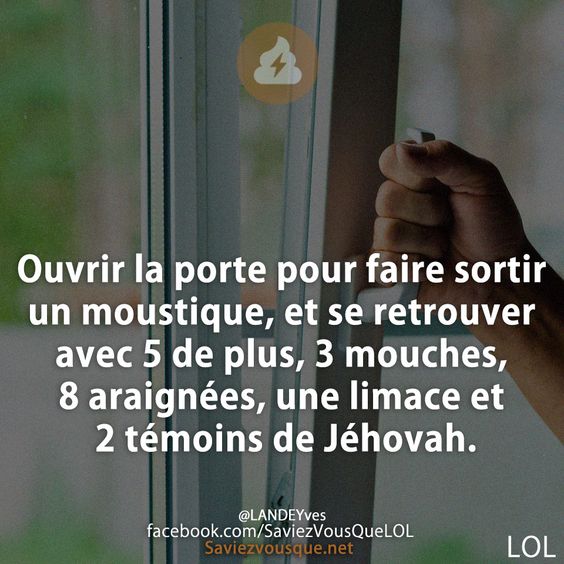Ouvrir la porte pour faire sortir un moustique, et se retrouver avec 5 de plus, 3 mouches, 8 araignées, une limace et 2 témoins de Jéhovah.