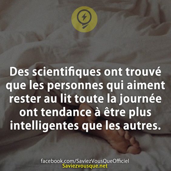 Des scientifiques ont trouvé que les personnes qui aiment rester au lit toute la journée ont tendance à être plus intelligentes que les autres.