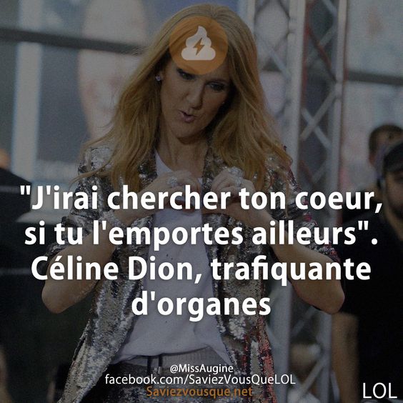 &quot;J&#039;irai chercher ton coeur, si tu l&#039;emportes ailleurs&quot;. Céline Dion, trafiquante d&#039;organes