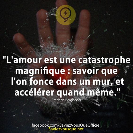 "L'amour est une catastrophe magnifique : savoir que l'on fonce dans un mur, et accélérer quand même."