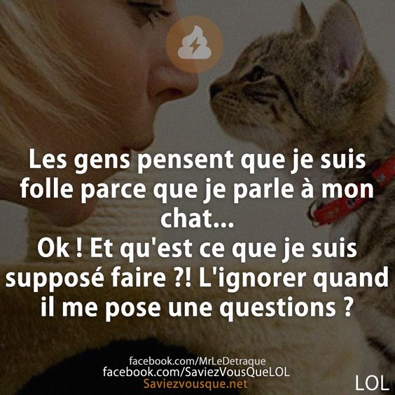 Les gens pensent que je suis folle parce que je parle à mon chat... Ok ! Et qu&#039;est ce que je suis supposé faire ?! L&#039;ignorer quand il me pose une questions ?