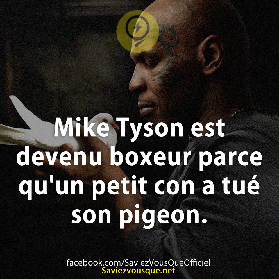 Mike Tyson est devenu boxeur parce qu&#039;un petit con a tué son pigeon.
