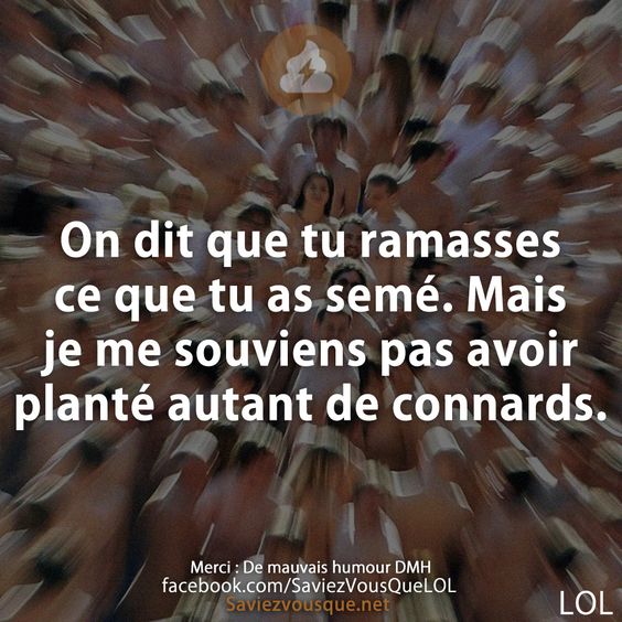 On dit que tu ramasses ce que tu as semé. Mais je me souviens pas avoir planté autant de connards.