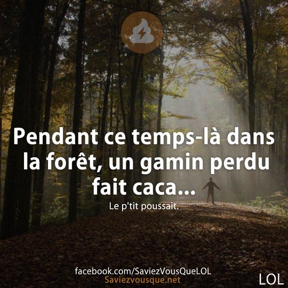 Pendant ce temps-là dans la forêt, un gamin perdu fait caca...
